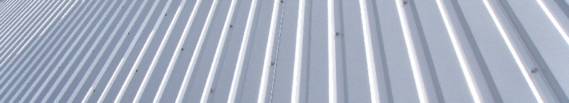 P3180059.JPG